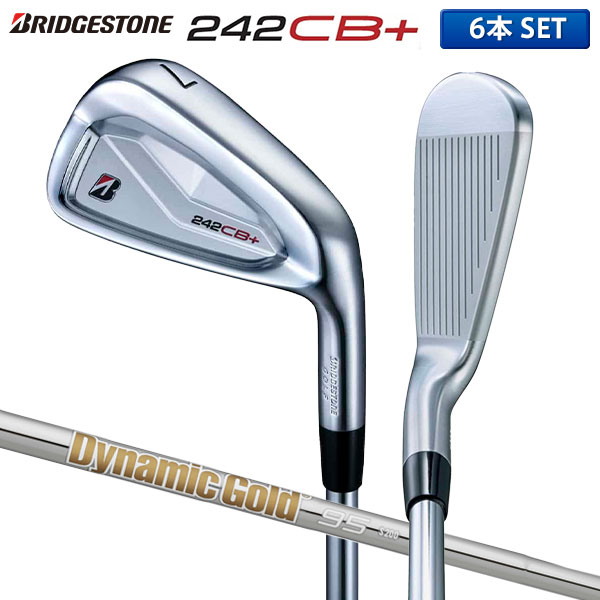 ブリヂストン 242CB+ アイアンセット 6本組(5-P) ダイナミックゴールド 95 スチールシャフト